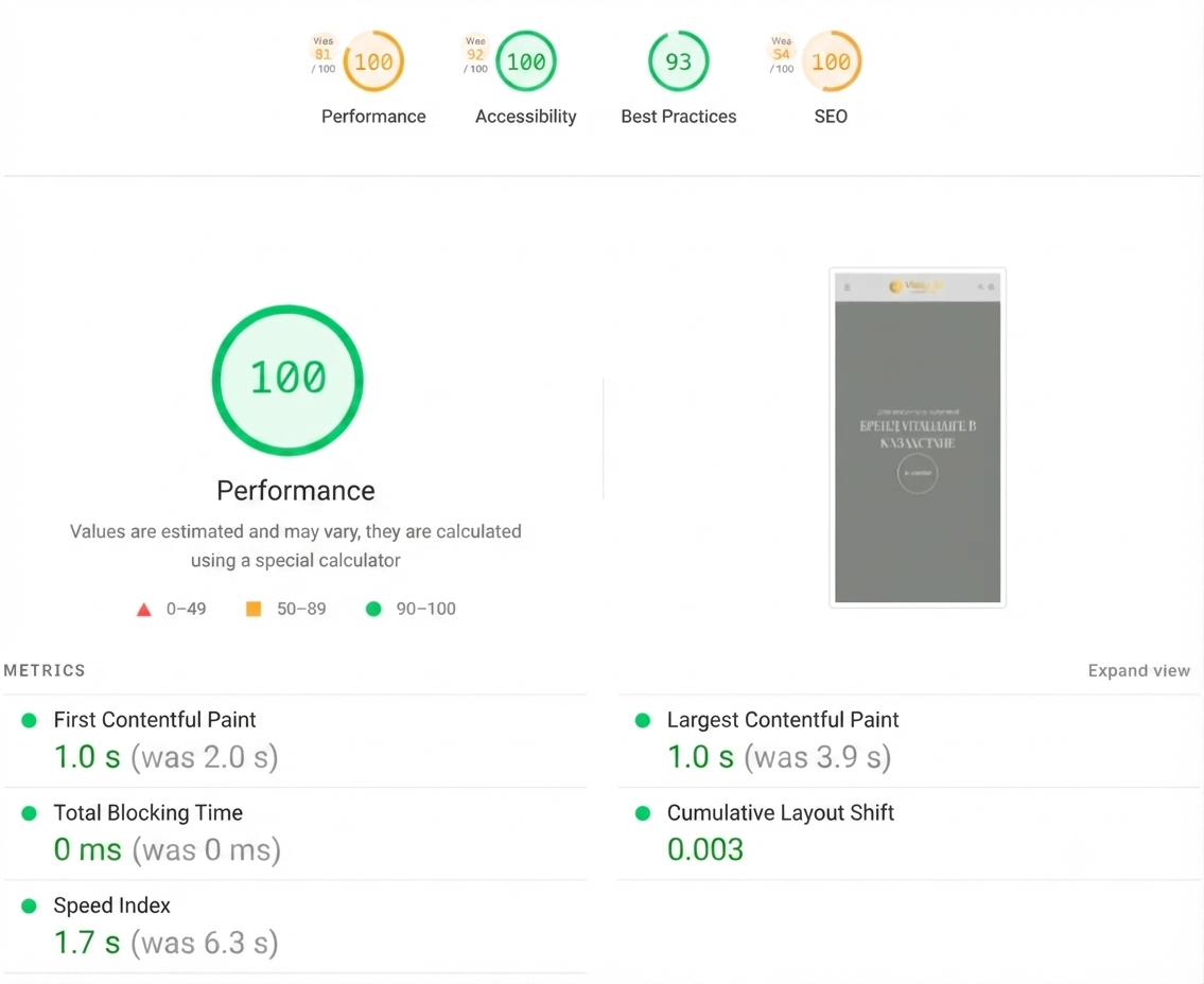 Google PageSpeed results after optimizing the VitallyLife site