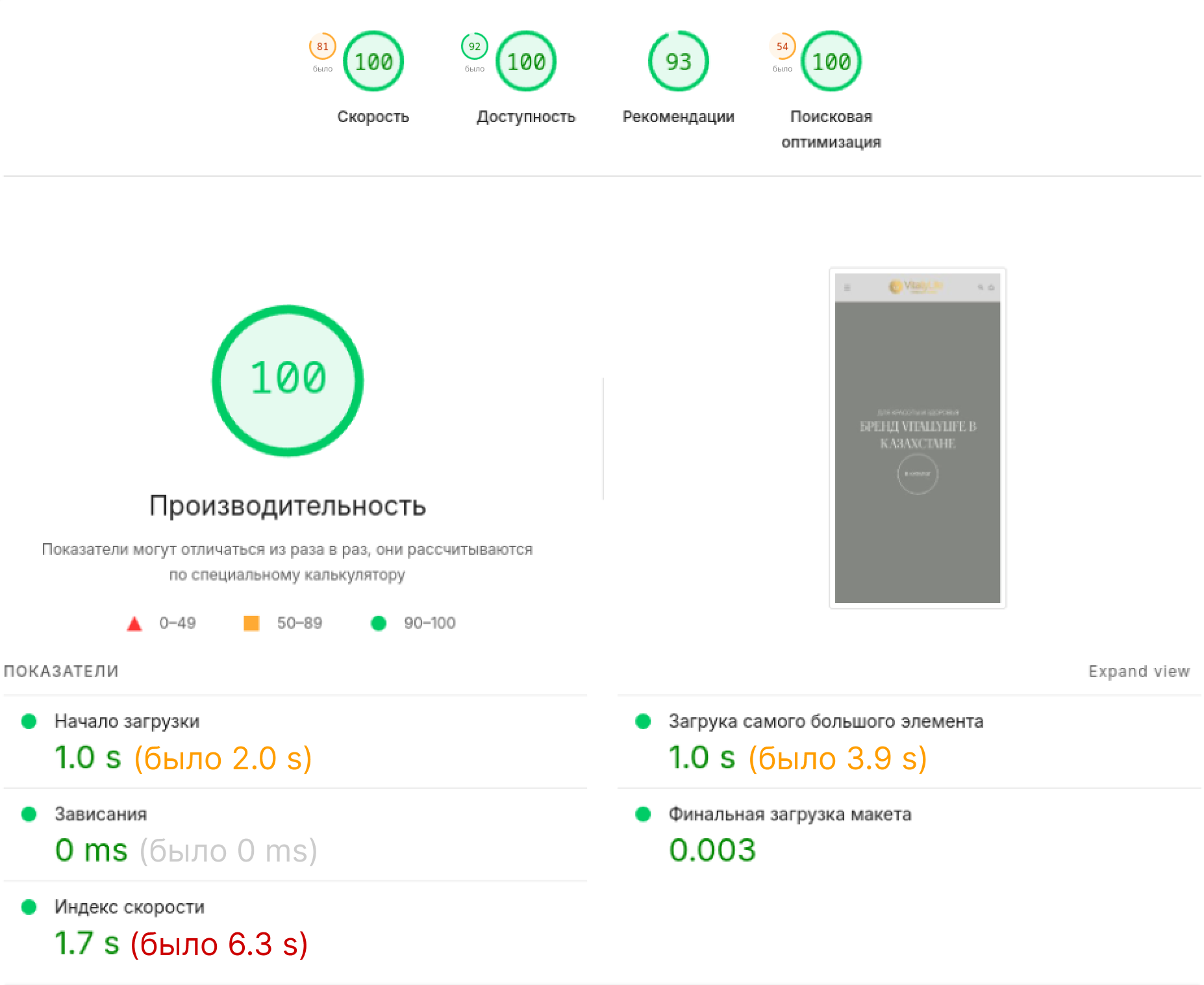 VitallyLife сайтын оңтайландырғаннан кейінгі Google PageSpeed нәтижелері